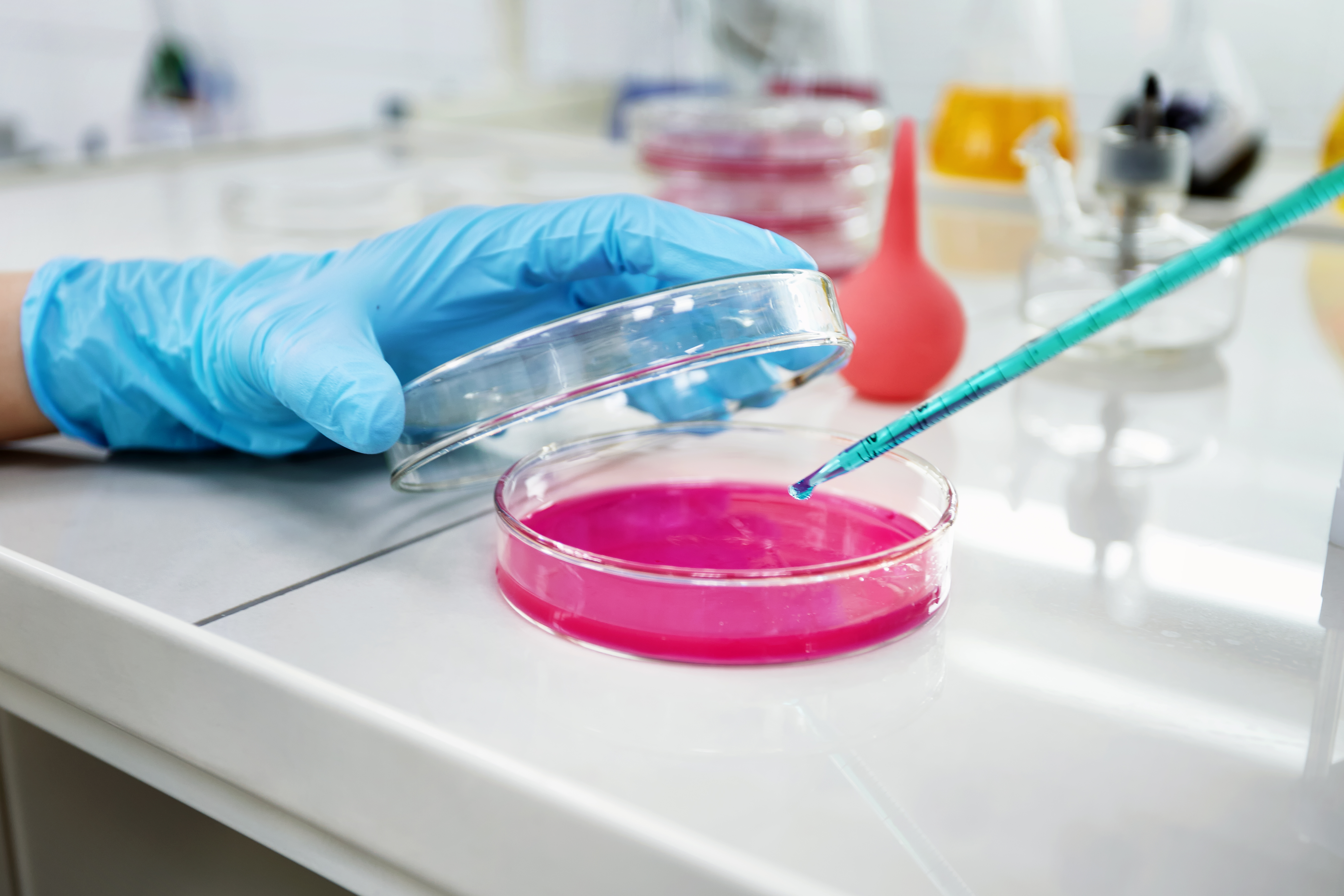 Ricerca in laboratorio Mani del ricercatore che tiene gli strumenti durante un esperimento scientifico di laboratorio